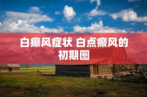 白癫风症状 白点癫风的初期图 白癫风症状 白点癫风的初期图