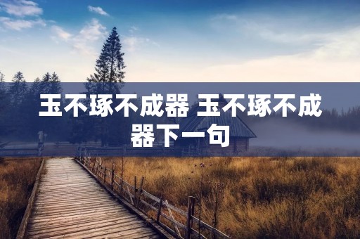 玉不琢不成器 玉不琢不成器下一句