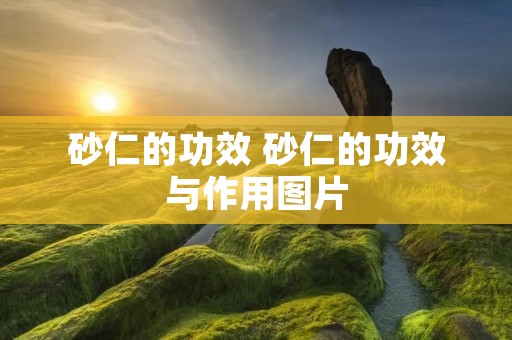 砂仁的功效 砂仁的功效与作用图片