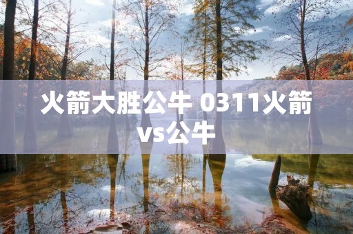 火箭大胜公牛 0311火箭vs公牛