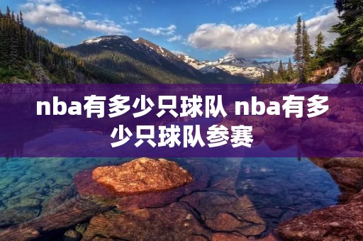 nba有多少只球队 nba有多少只球队参赛