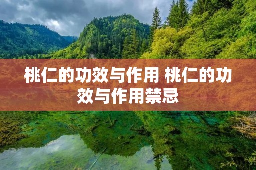 桃仁的功效与作用 桃仁的功效与作用禁忌