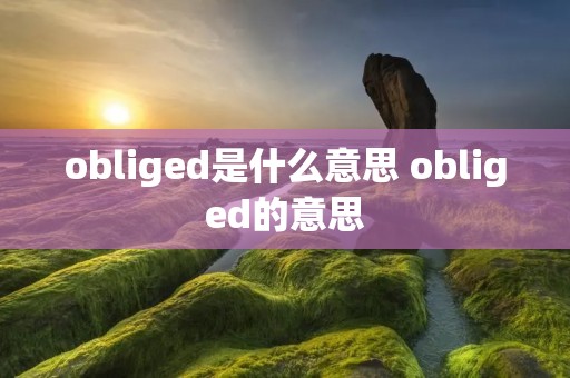 obliged是什么意思 obliged的意思