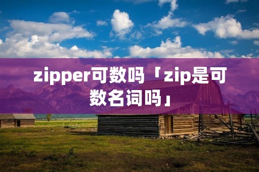zipper可数吗「zip是可数名词吗」