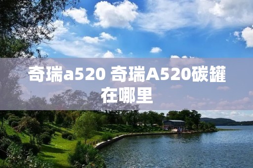 奇瑞a520 奇瑞A520碳罐在哪里
