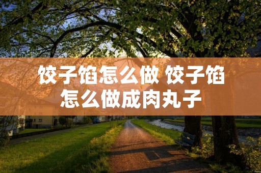 饺子馅怎么做 饺子馅怎么做成肉丸子