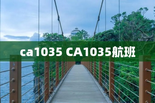 ca1035 CA1035航班