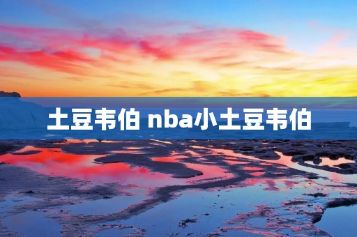 土豆韦伯 nba小土豆韦伯