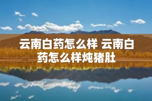 云南白药怎么样 云南白药怎么样炖猪肚