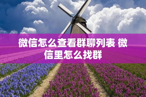微信怎么查看群聊列表 微信里怎么找群 微信怎么查看群聊列表 微信里怎么找群