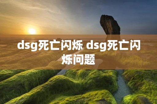 dsg死亡闪烁 dsg死亡闪烁问题