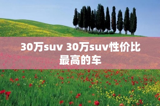30万suv 30万suv性价比最高的车