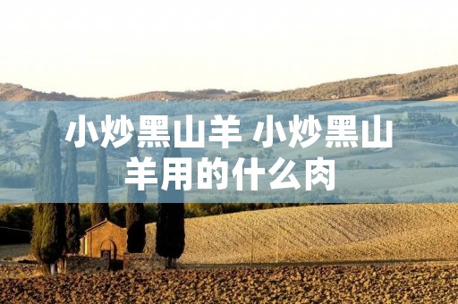 小炒黑山羊 小炒黑山羊用的什么肉