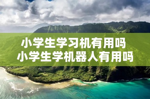 小学生学习机有用吗 小学生学机器人有用吗
