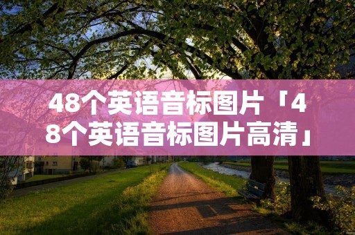 48个英语音标图片「48个英语音标图片高清」