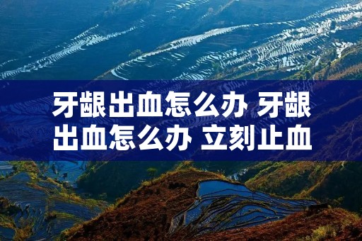 牙龈出血怎么办 牙龈出血怎么办 立刻止血