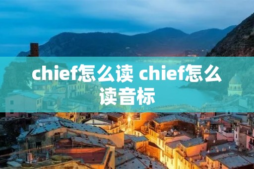 chief怎么读 chief怎么读音标