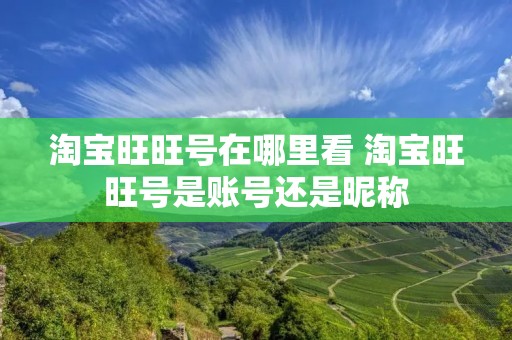 淘宝旺旺号在哪里看 淘宝旺旺号是账号还是昵称