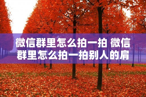 微信群里怎么拍一拍 微信群里怎么拍一拍别人的肩膀