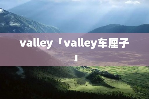 valley「valley车厘子」