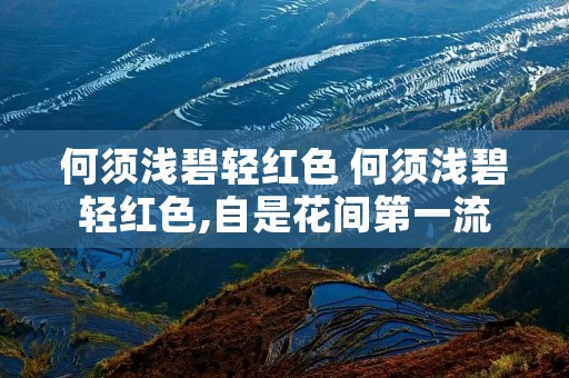 何须浅碧轻红色 何须浅碧轻红色,自是花间第一流