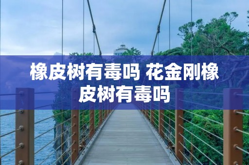橡皮树有毒吗 花金刚橡皮树有毒吗