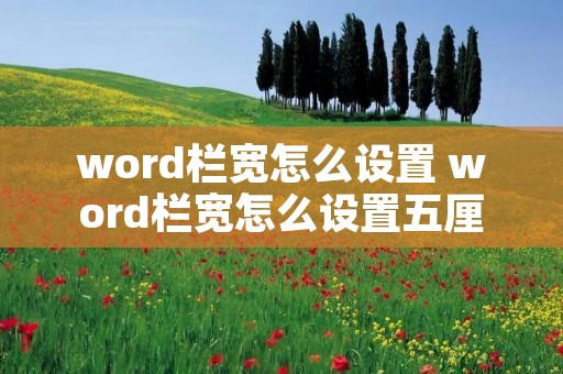 word栏宽怎么设置 word栏宽怎么设置五厘米