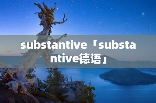 substantive「substantive德语」