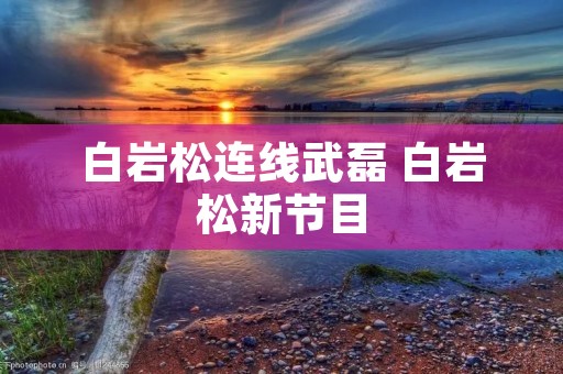 白岩松连线武磊 白岩松新节目