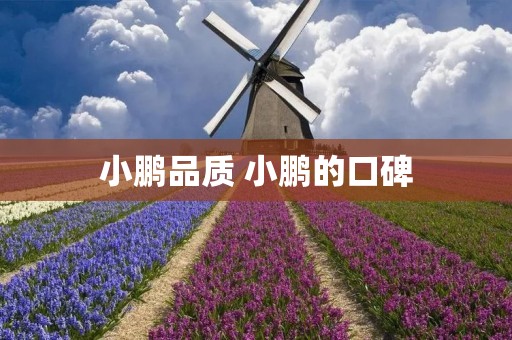 小鹏品质 小鹏的口碑