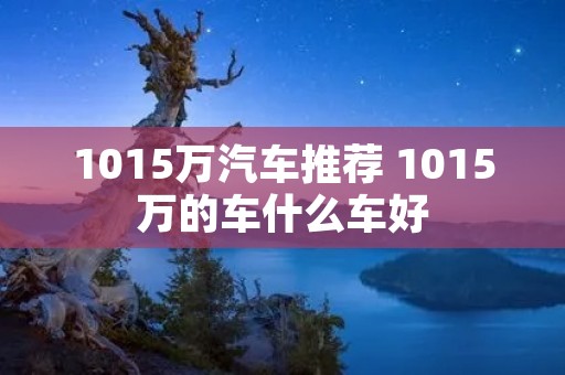 1015万汽车推荐 1015万的车什么车好