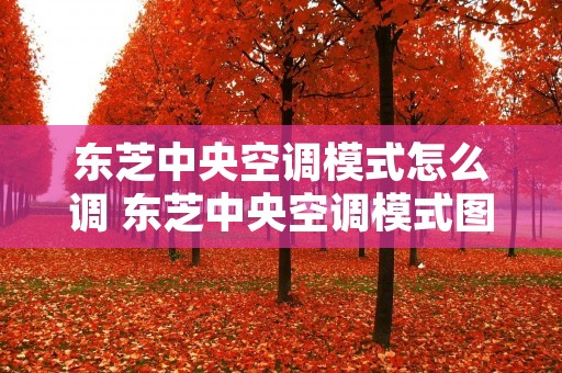 东芝中央空调模式怎么调 东芝中央空调模式图案