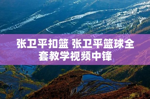 张卫平扣篮 张卫平篮球全套教学视频中锋