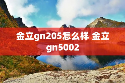 金立gn205怎么样 金立gn5002