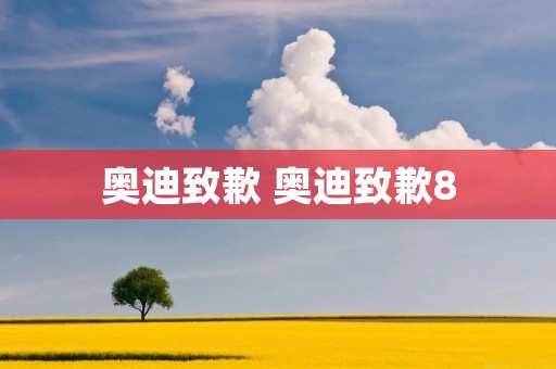奥迪致歉 奥迪致歉8