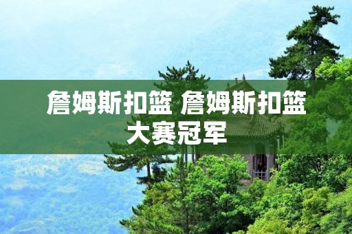 詹姆斯扣篮 詹姆斯扣篮大赛冠军