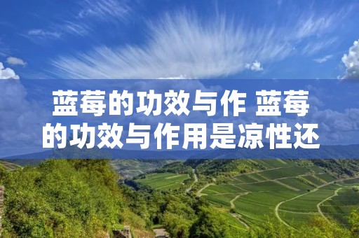蓝莓的功效与作 蓝莓的功效与作用是凉性还是热性
