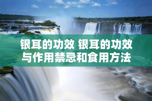 银耳的功效 银耳的功效与作用禁忌和食用方法