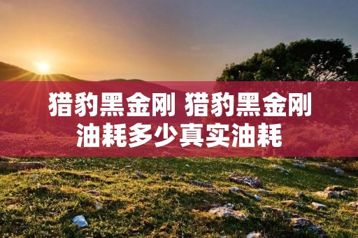 猎豹黑金刚 猎豹黑金刚油耗多少真实油耗