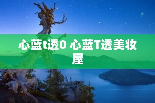 心蓝t透0 心蓝T透美妆屋 心蓝t透0 心蓝T透美妆屋