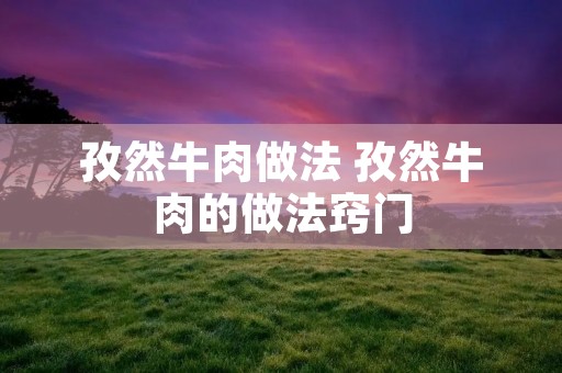 孜然牛肉做法 孜然牛肉的做法窍门