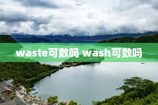 waste可数吗 wash可数吗