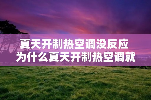 夏天开制热空调没反应 为什么夏天开制热空调就不好使