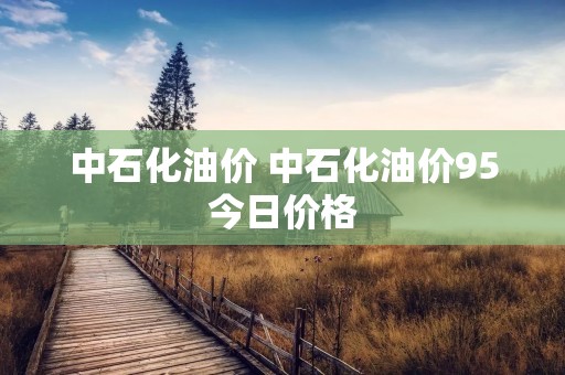 中石化油价 中石化油价95今日价格