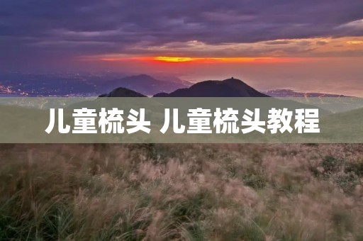 儿童梳头 儿童梳头教程 儿童梳头 儿童梳头教程