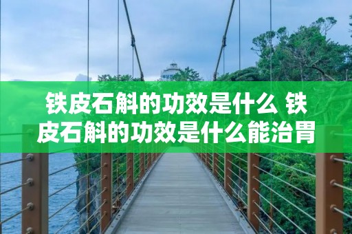铁皮石斛的功效是什么 铁皮石斛的功效是什么能治胃炎吗