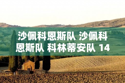 沙佩科恩斯队 沙佩科恩斯队 科林蒂安队 14 无效进球 2018 沙佩科恩斯队 沙佩科恩斯队 科林蒂安队 14 无效进球 2018
