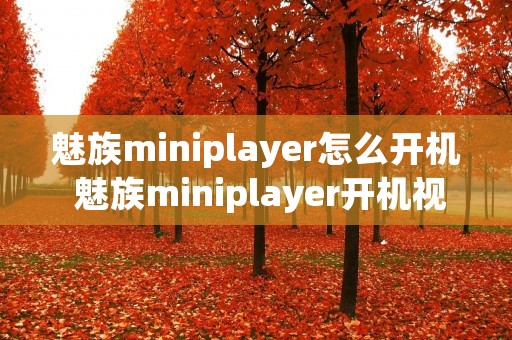 魅族miniplayer怎么开机 魅族miniplayer开机视频