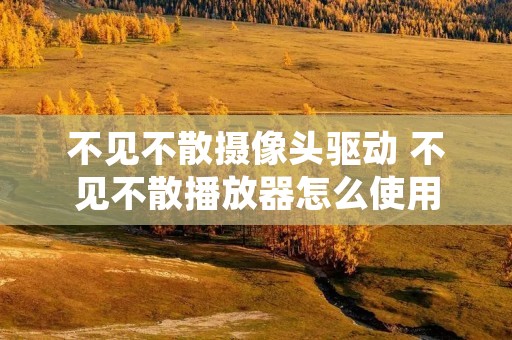 不见不散摄像头驱动 不见不散播放器怎么使用 不见不散摄像头驱动 不见不散播放器怎么使用