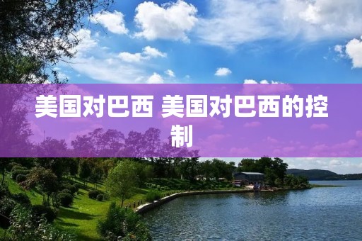 美国对巴西 美国对巴西的控制
